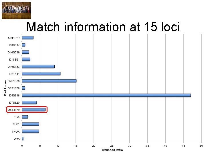 Match information at 15 loci 