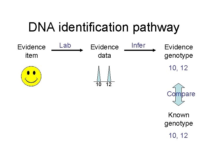 DNA identification pathway Evidence item Lab Evidence data Infer Evidence genotype 10, 12 10