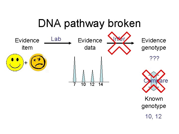 DNA pathway broken Evidence item Lab Evidence data Infer Evidence genotype ? ? ?