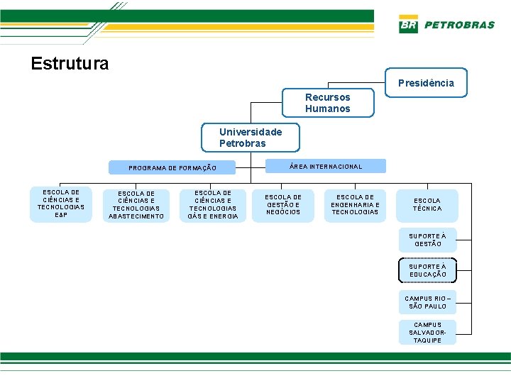 Estrutura Presidência Recursos Humanos Universidade Petrobras PROGRAMA DE FORMAÇÃO ESCOLA DE CIÊNCIAS E TECNOLOGIAS