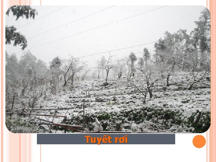 Tuyết rơi 