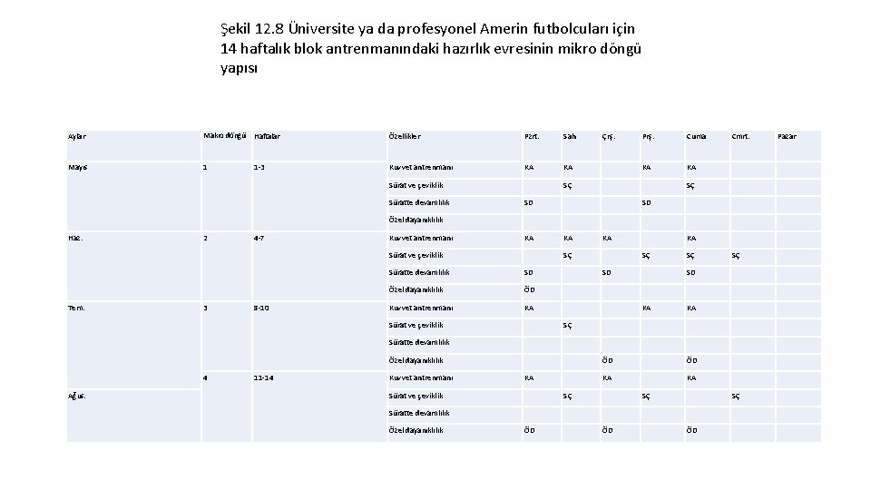 Şekil 12. 8 Üniversite ya da profesyonel Amerin futbolcuları için 14 haftalık blok antrenmanındaki