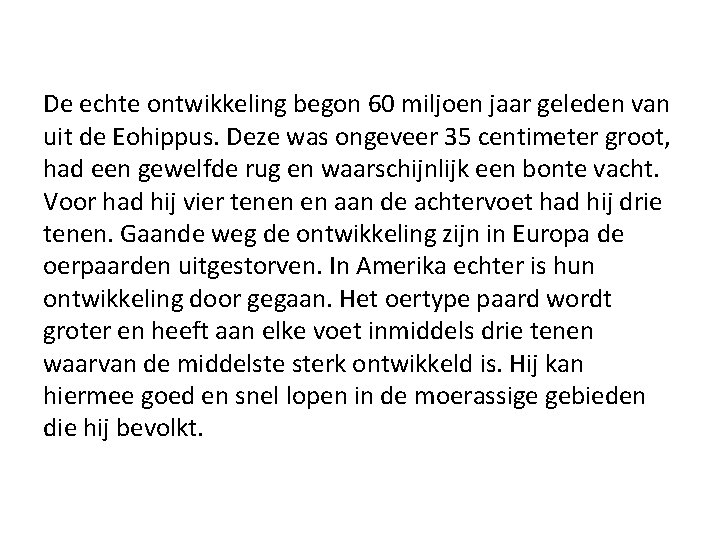 De echte ontwikkeling begon 60 miljoen jaar geleden van uit de Eohippus. Deze was