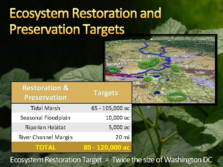 Ecosystem Restoration and Preservation Targets Restoration & Preservation Tidal Marsh Targets 65 - 105,