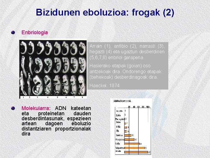 Bizidunen eboluzioa: frogak (2) Enbriologia Arrain (1), anfibio (2), narrasti (3), hegazti (4) eta