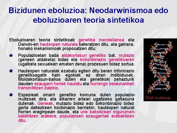 Bizidunen eboluzioa: Neodarwinismoa edo eboluzioaren teoria sintetikoa Eboluzioaren teoria sintetikoak genetika mendelianoa eta Darwin-en