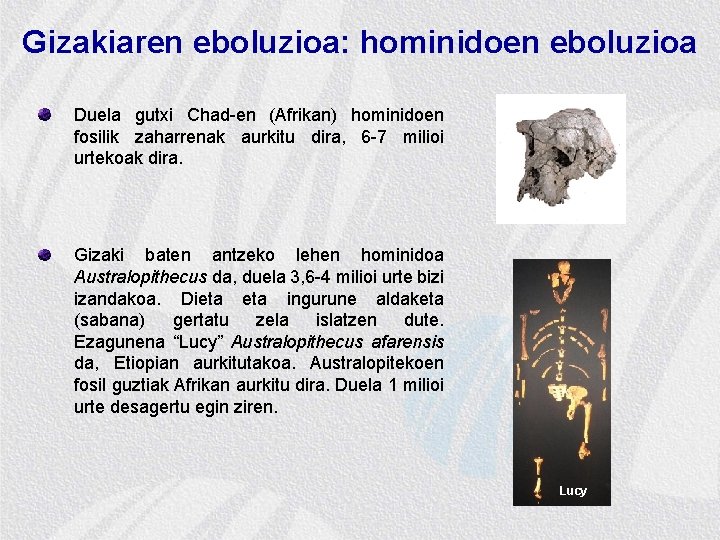 Gizakiaren eboluzioa: hominidoen eboluzioa Duela gutxi Chad-en (Afrikan) hominidoen fosilik zaharrenak aurkitu dira, 6