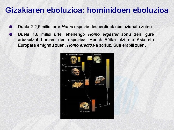 Gizakiaren eboluzioa: hominidoen eboluzioa Duela 2 -2, 5 milioi urte Homo espezie desberdinek eboluzionatu