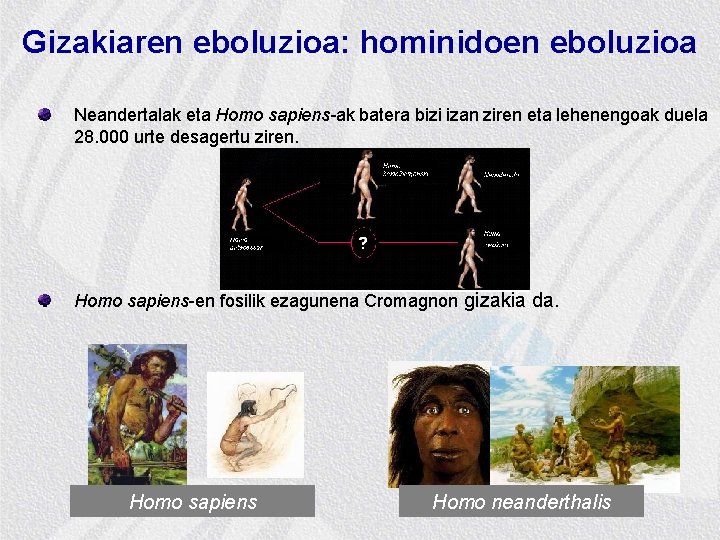 Gizakiaren eboluzioa: hominidoen eboluzioa Neandertalak eta Homo sapiens-ak batera bizi izan ziren eta lehenengoak
