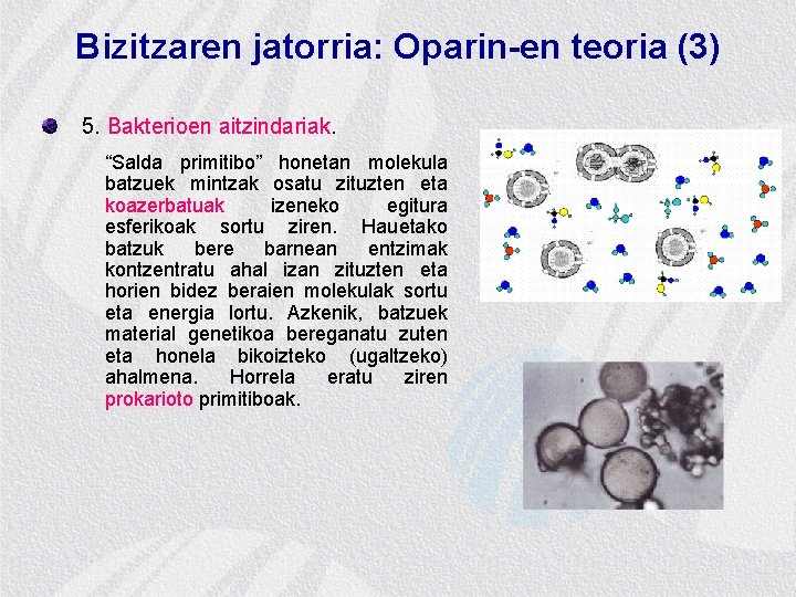 Bizitzaren jatorria: Oparin-en teoria (3) 5. Bakterioen aitzindariak. “Salda primitibo” honetan molekula batzuek mintzak