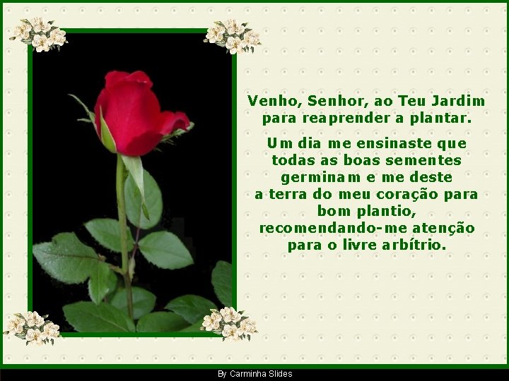 Venho, Senhor, ao Teu Jardim para reaprender a plantar. Um dia me ensinaste que