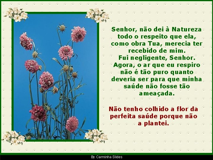 Senhor, não dei à Natureza todo o respeito que ela, como obra Tua, merecia