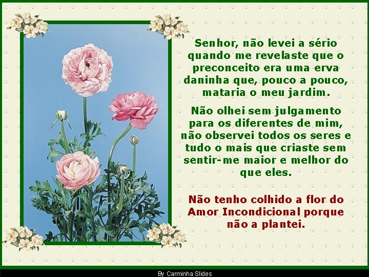 Senhor, não levei a sério quando me revelaste que o preconceito era uma erva