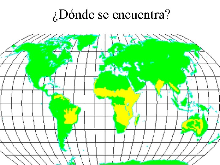 ¿Dónde se encuentra? 