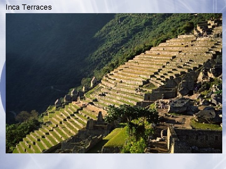 Inca Terraces 