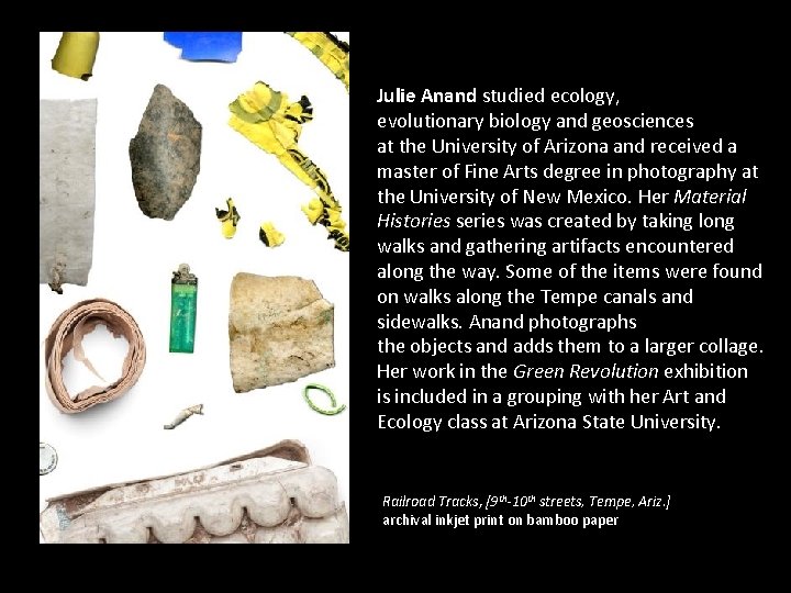 Julie Anand studied ecology, evolutionary biology and geosciences at the University of Arizona and