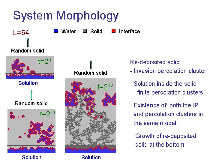 System Morphology L=64 Water Solid Interface Random solid t=29 Random solid Solution t=212 Random