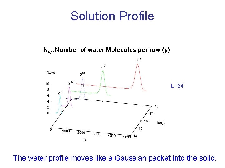 Solution Profile Nw : Number of water Molecules per row (y) L=64 The water