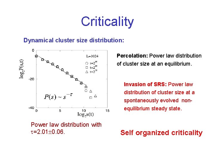 Criticality Dynamical cluster size distribution: Percolation: Power law distribution of cluster size at an