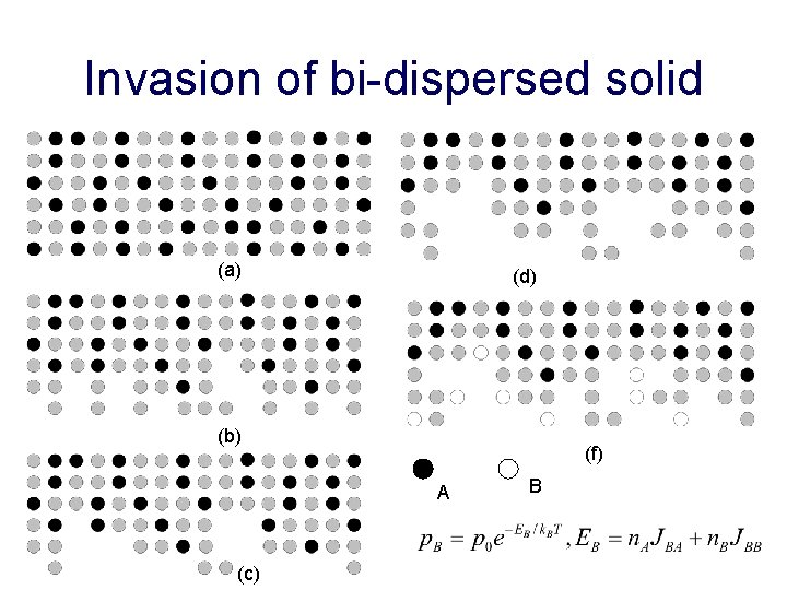 Invasion of bi-dispersed solid (a) (d) (b) (f) A (c) B 