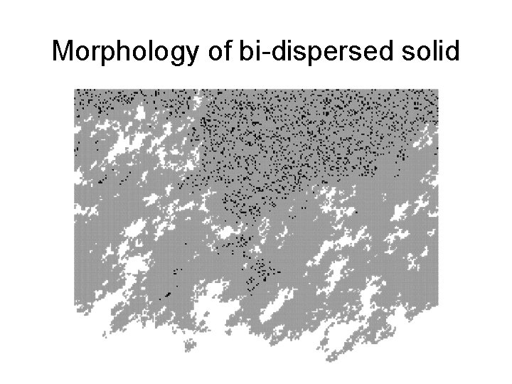 Morphology of bi-dispersed solid 