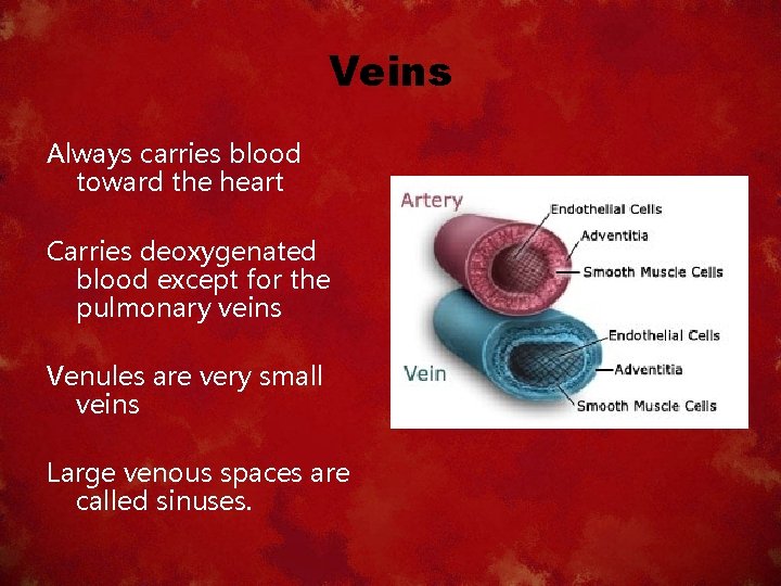 Veins Always carries blood toward the heart Carries deoxygenated blood except for the pulmonary