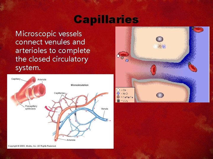 Capillaries Microscopic vessels connect venules and arterioles to complete the closed circulatory system. 