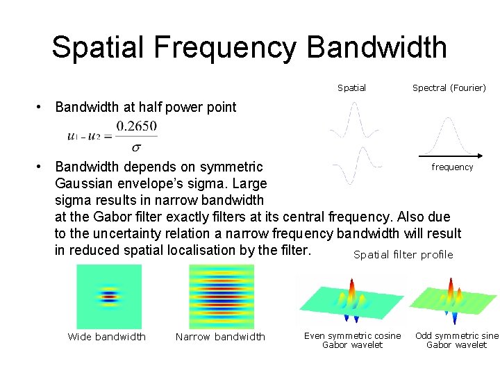 Spatial Frequency Bandwidth Spatial Spectral (Fourier) • Bandwidth at half power point frequency •