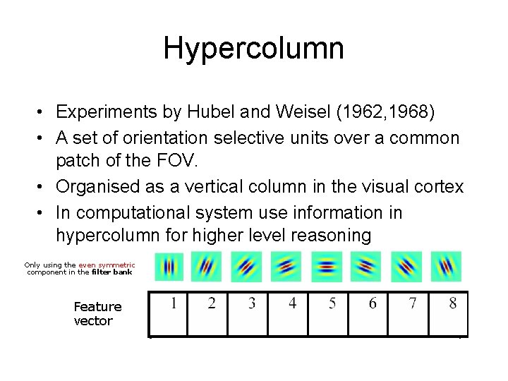 Hypercolumn • Experiments by Hubel and Weisel (1962, 1968) • A set of orientation