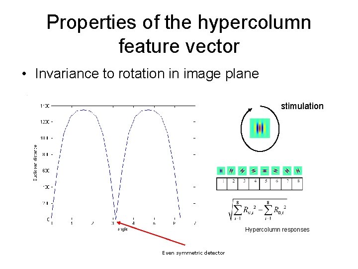 Properties of the hypercolumn feature vector • Invariance to rotation in image plane stimulation