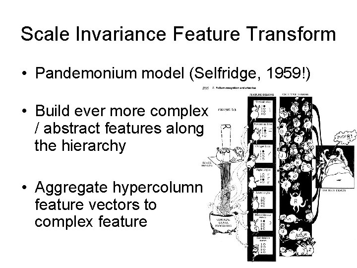 Scale Invariance Feature Transform • Pandemonium model (Selfridge, 1959!) • Build ever more complex