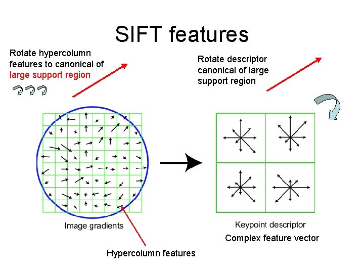 SIFT features Rotate hypercolumn features to canonical of large support region Rotate descriptor canonical