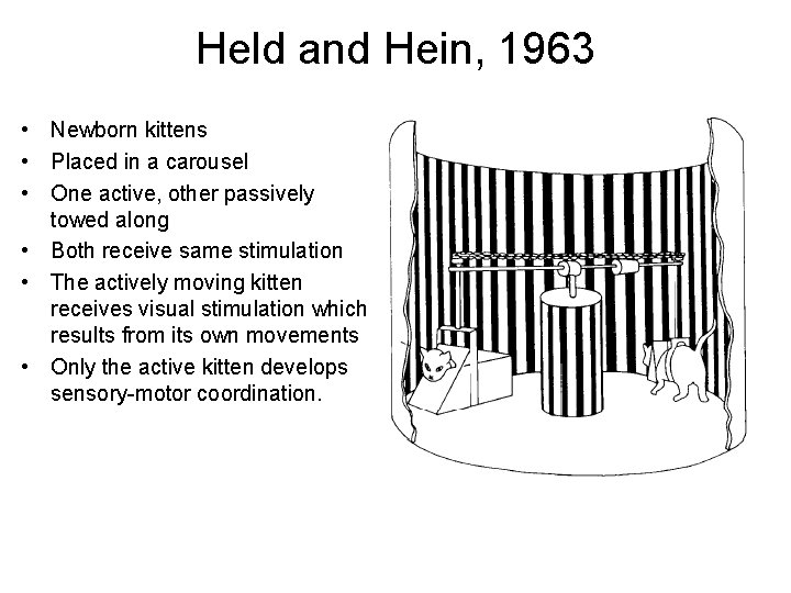 Held and Hein, 1963 • Newborn kittens • Placed in a carousel • One