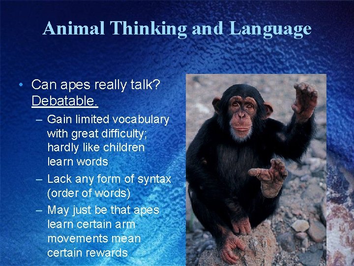 Animal Thinking and Language • Can apes really talk? Debatable. – Gain limited vocabulary Animal Thinking and Language • Can apes really talk? Debatable. – Gain limited vocabulary