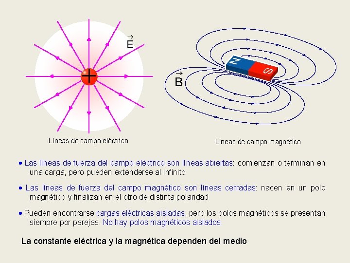 Líneas de campo eléctrico Líneas de campo magnético Las líneas de fuerza del campo