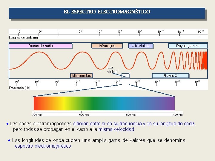 EL ESPECTRO ELECTROMAGNÉTICO Ondas de radio Infrarrojos Microondas Luz visible Ultravioleta Rayos gamma Rayos