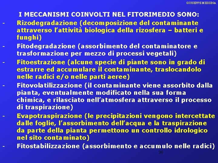 GIUSEPPE MESSINA - - - I MECCANISMI COINVOLTI NEL FITORIMEDIO SONO: Rizodegradazione (decomposizione del