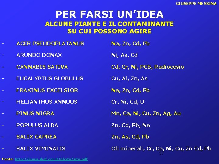 GIUSEPPE MESSINA PER FARSI UN’IDEA ALCUNE PIANTE E IL CONTAMINANTE SU CUI POSSONO AGIRE