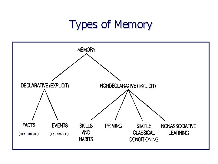 Types of Memory (semantic) (episodic) 