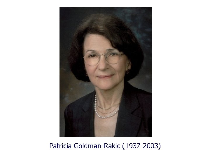 Patricia Goldman-Rakic (1937 -2003) 