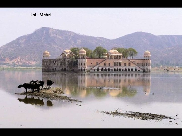 Jal - Mahal 