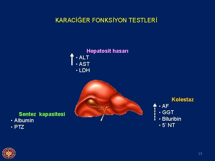 KARACİĞER FONKSİYON TESTLERİ Hepatosit hasarı • ALT • AST • LDH Kolestaz Sentez kapasitesi