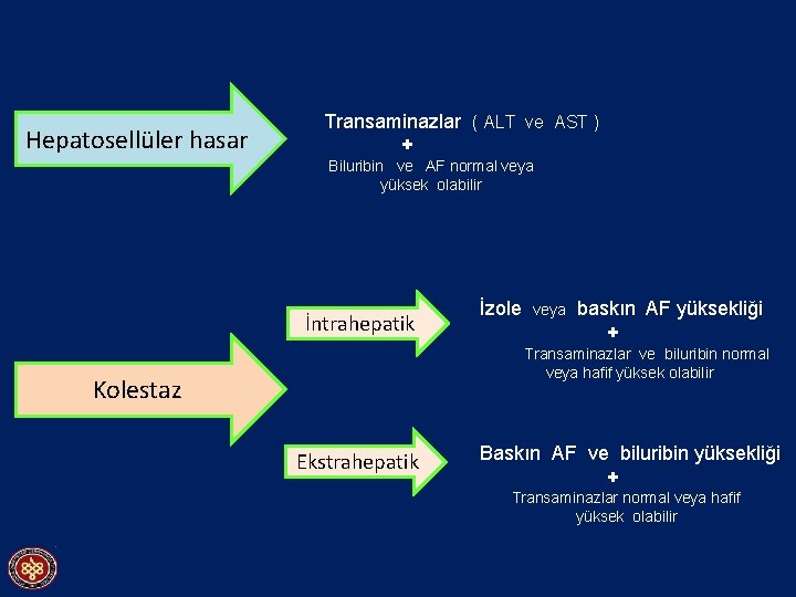 Hepatosellüler hasar Transaminazlar ( ALT ve AST ) + Biluribin ve AF normal veya