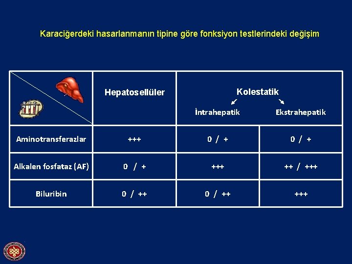 Karaciğerdeki hasarlanmanın tipine göre fonksiyon testlerindeki değişim Kolestatik Hepatosellüler İntrahepatik Ekstrahepatik Aminotransferazlar +++ 0