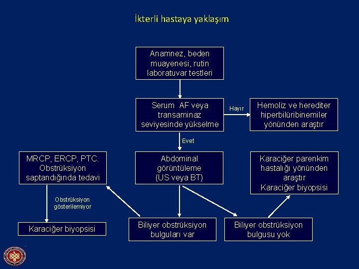 İkterli hastaya yaklaşım Anamnez, beden muayenesi, rutin laboratuvar testleri Serum AF veya transaminaz seviyesinde