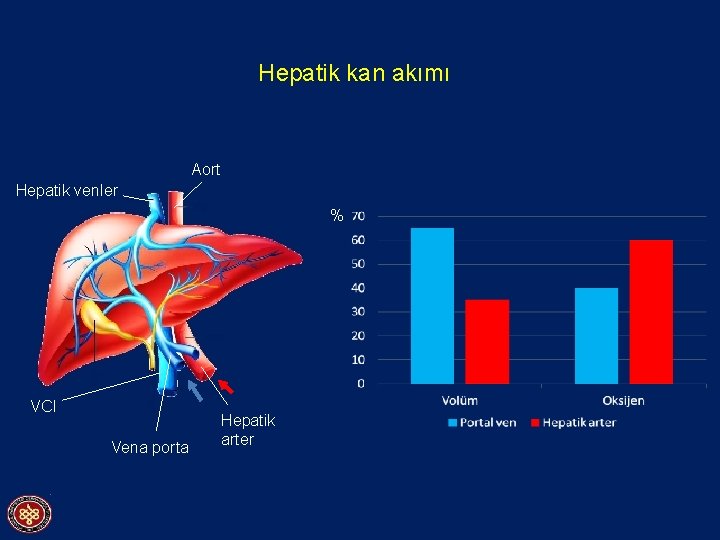 Hepatik kan akımı Aort Hepatik venler % VCI Vena porta Hepatik arter 