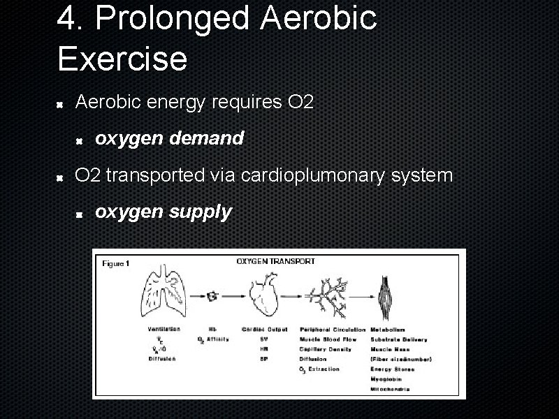 4. Prolonged Aerobic Exercise Aerobic energy requires O 2 oxygen demand O 2 transported