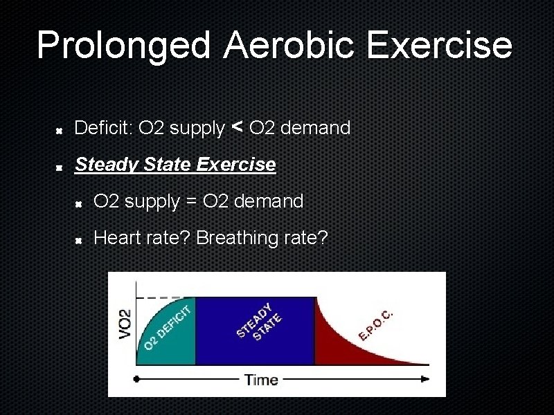 Prolonged Aerobic Exercise Deficit: O 2 supply < O 2 demand Steady State Exercise