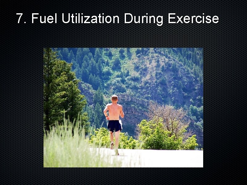 7. Fuel Utilization During Exercise 