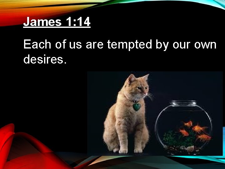 James 1: 14 Each of us are tempted by our own desires. 